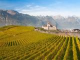 Castle of Aigle