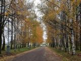 Аллея от музея гидроэнергетики Аллея от музея гидроэнергетики