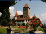 Spietz at lake Thun Spietz at lake Thun