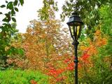 Jardin de l'Ermitage