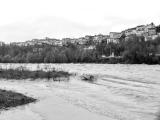 Piena Piave - 11 novembre 2012