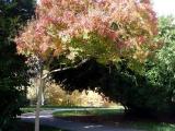 Rimini Colori d'Autunno