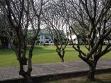พิพิธภัณฑสถานแห่งชาติน่าน,Muang,Naivieng,Nan,ในเวียง, อ.เมืองน่าน,น่าน
