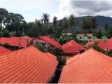 Lamai Beach Lamai Beach