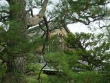 Nijo Castle Nijo Castle