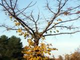 ...aspettando l'inverno