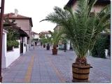 Palm street / Улицата с палмите Palm street / Улицата с палмите