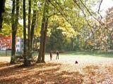 REGENSBURG - Herbstlaub - so viel Herbstlaub . . . im Dörnberg Park REGENSBURG - Herbstlaub - so viel Herbstlaub . . . im Dörnberg Park