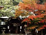 Awata shrine (粟田神社) Awata shrine (粟田神社)