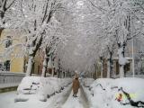 Pesaro Italia Pesaro Italia