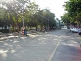 โรงเรียนพิบูลวิทยาลัย