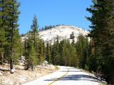 Yosemite; near Olmsted Point Yosemite; near Olmsted Point