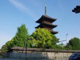 京都散歩 東寺五重塔 京都散歩 東寺五重塔