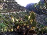 DSCN6628 Barranco del Infierno 2012