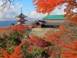 清水寺 清水寺
