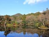龍安寺 龍安寺