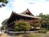 Yakushi-ji, 薬師寺　東院堂