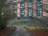 Statens Museum for kunst. Statens Museum for kunst.