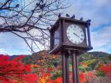 円山公園 時計台 円山公園 時計台