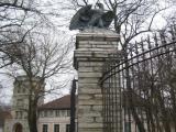 Eagle near Estonian History Museum