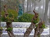 Niebla Niebla