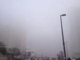 FOG=TRAFFIC=LATE FOG=TRAFFIC=LATE