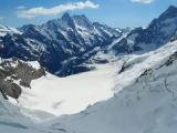Eiger Eismeer und Schreckhorn