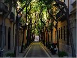 Quiet street in Barcelona
