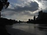 DSC_0445 DSC_0445