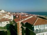 vlas raina