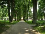 Липовая аллея "Русский Парнас" Липовая аллея "Русский Парнас"