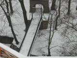 Děčín,pohled ze zámku do parku