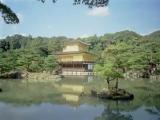 The Golden Pavilion The Golden Pavilion