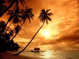 Hawaii beach