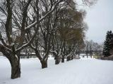 Finlandia Finlandia