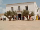 Sant Francesc 05 Sant Francesc 05