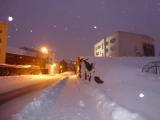 Выборг. Декабрь 2012 Выборг. Декабрь 2012