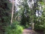Дорожка в парке Пенаты
