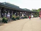 滝野すずらん丘陵公園 滝野すずらん丘陵公園