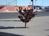 Opuntia steel sculpture Opuntia steel sculpture