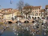 ponte dante treviso ponte dante treviso