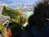 The slope where a harbor is seen The slope where a harbor is seen