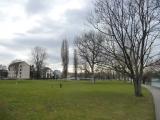 Rheinpark Birsfelden 1 Rheinpark Birsfelden 1