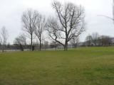 Rheinpark Birsfelden 2 Rheinpark Birsfelden 2