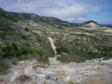 Divertidas sendas por las laderas de los barrancos de La Muela Divertidas sendas por las laderas de los barrancos de La Muela