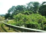 Khe Sanh 203km Khe Sanh 203km