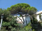 "Dulber" palace  2