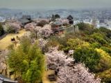 松山城本丸, View from castle tower