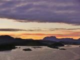 " Morgenstund har gull i munn " " Morgenstund har gull i munn "