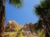 Alicante, El castillo de Santa Bárbara, a través de las palmas